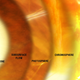 Illustration for article titled This Is How Light Travels Through the Layers of The Sun